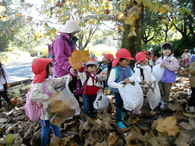 保育だより 園長だより 保育だより 学校法人雲雀丘学園 雲雀丘学園中山台幼稚園